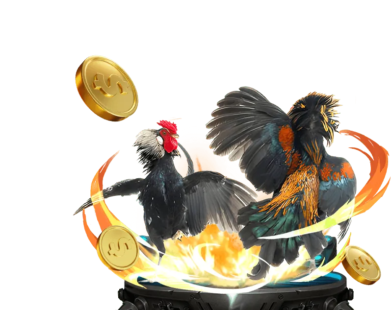 Đá Gà Trực Tiếp tại 3win Casino